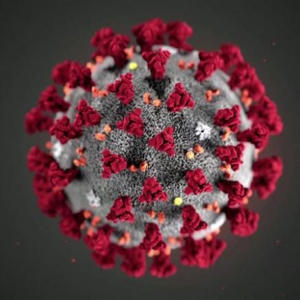 200130165125-corona-virus-cdc-image-exlarge-tease 200130165125-corona-virus-cdc-image-exlarge-tease